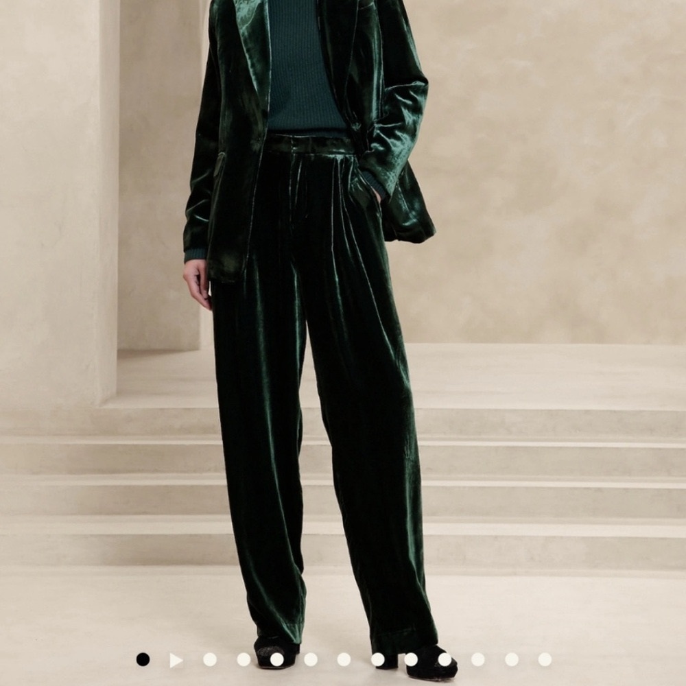 Gorgeous Norte Velvet Pants Banana Republic size 8